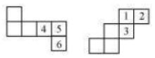 dice (cubes)