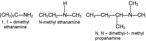 Functional Group