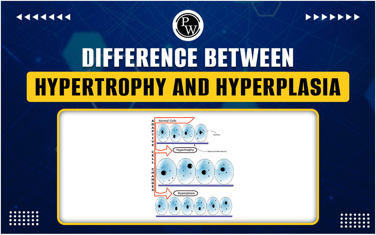 Difference Between Hypertrophy and Hyperplasia