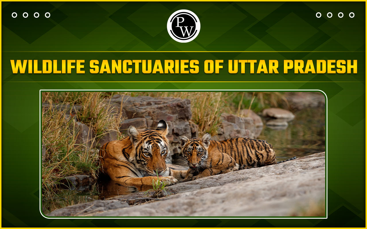 Wildlife Sanctuaries of Uttar Pradesh