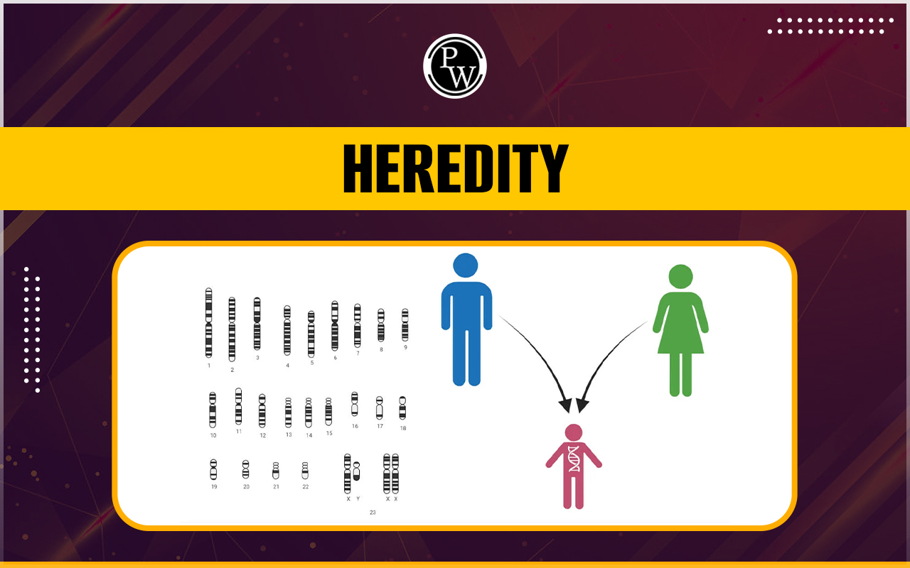 Heredity