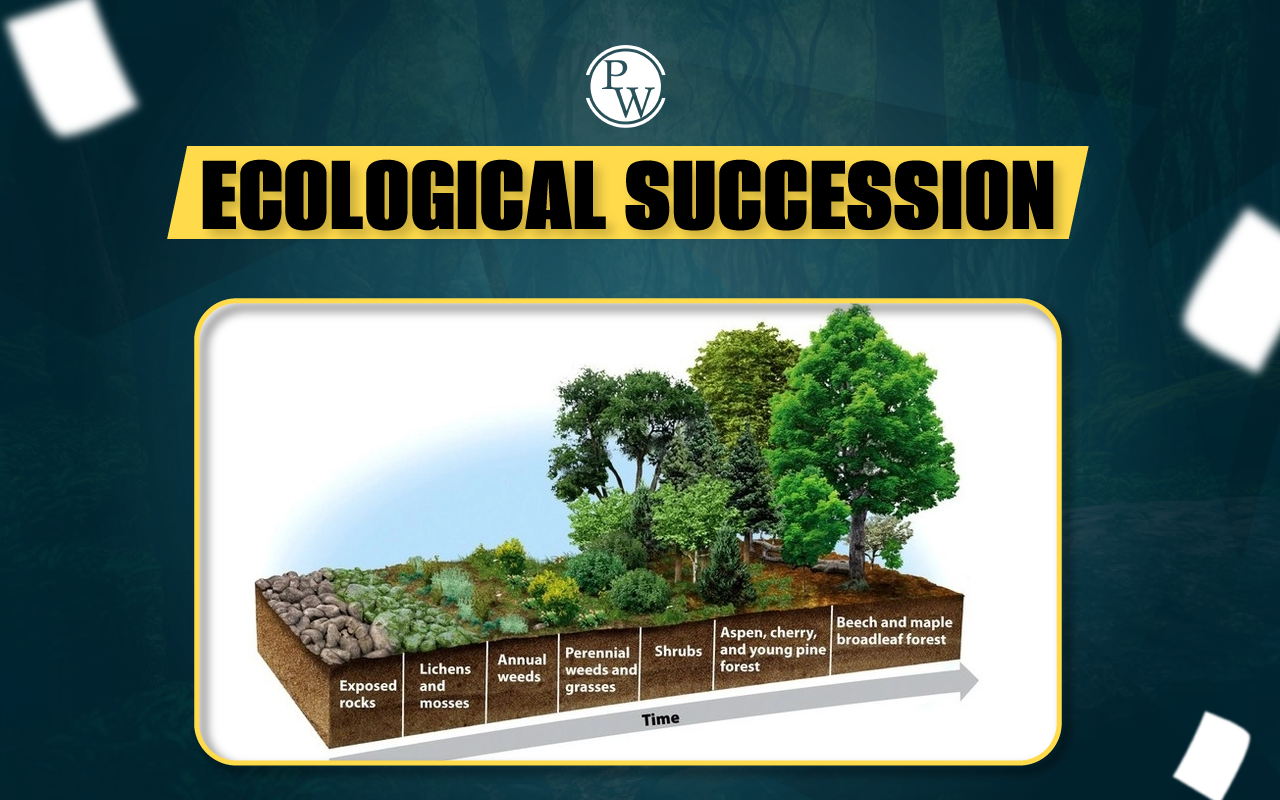 Ecological Succession