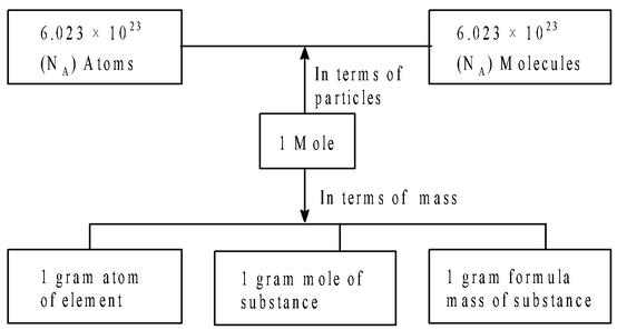 Mole Concept basics 