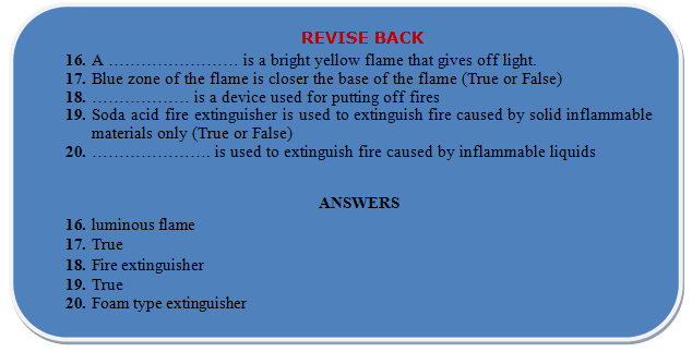 flame revision