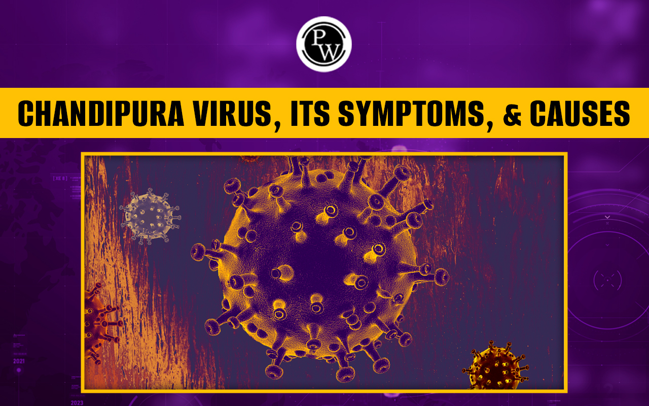 Chandipura Virus