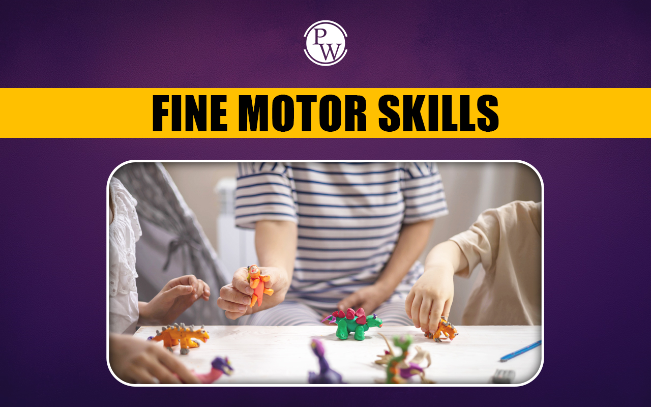 Fine Motor Skills