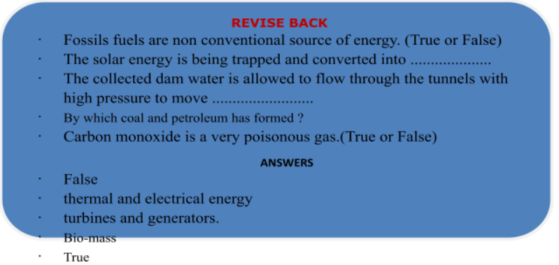 Coal And Petroleum