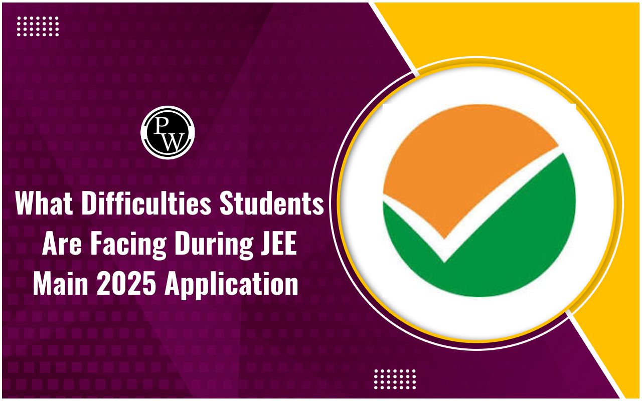 What Difficulties Students Are Facing During JEE Main 2025 Application Process