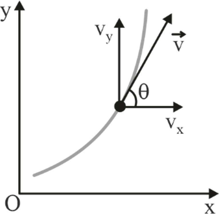 Velocity graph