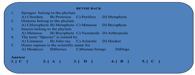 kingdom animalia classification