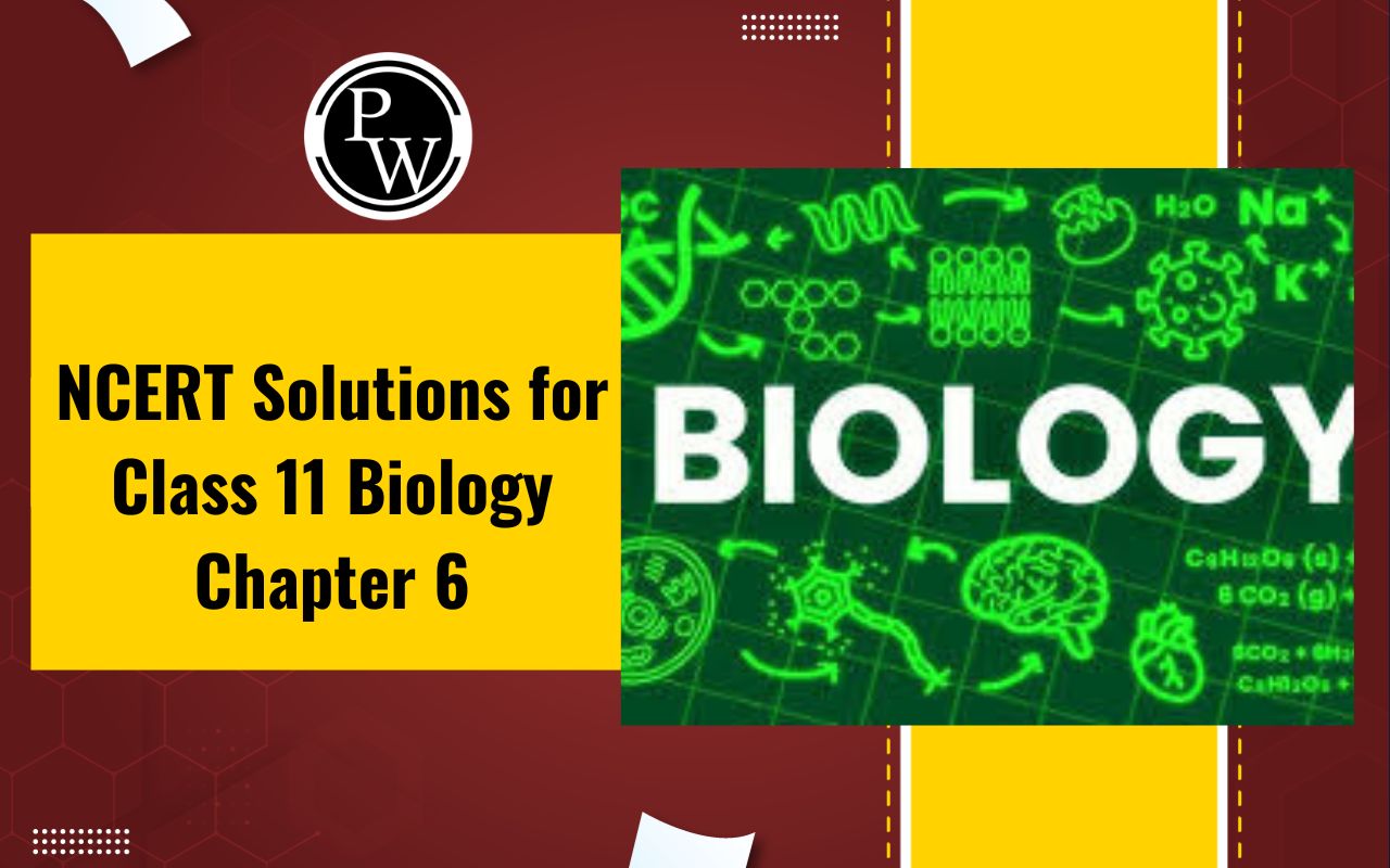 NCERT Solutions for Class 11 Biology Chapter 6