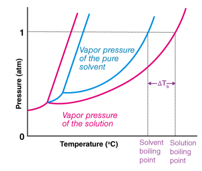 Boiling Point Elevation