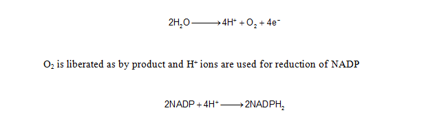 photolysis