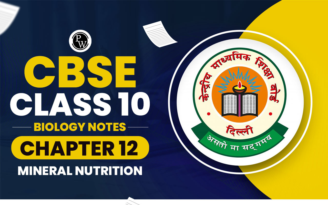 CBSE Class 11 Biology Notes Chapter 12