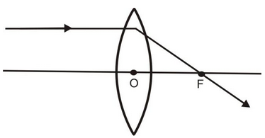 155.jpg
