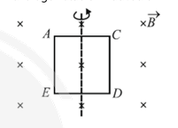 Electromagnetic Induction
