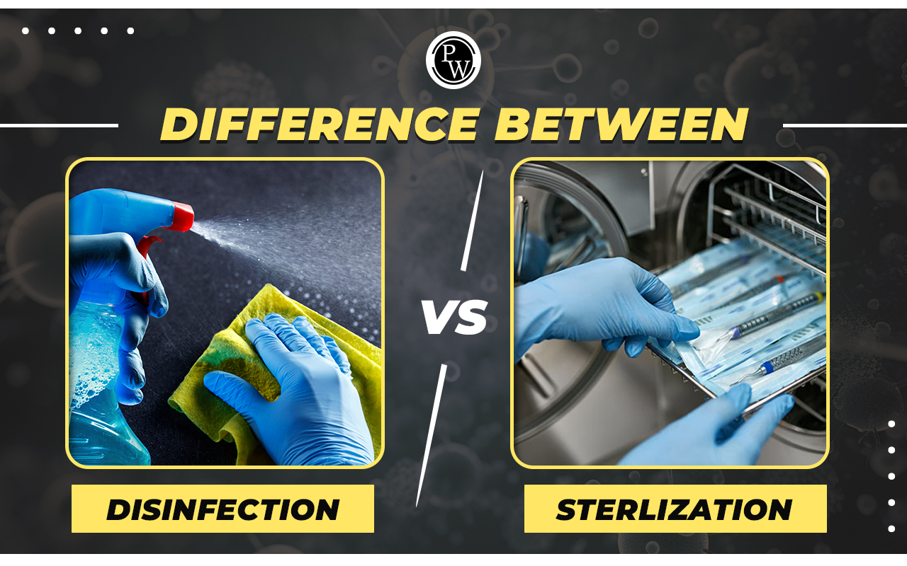 Differences Between Disinfection and Sterilization