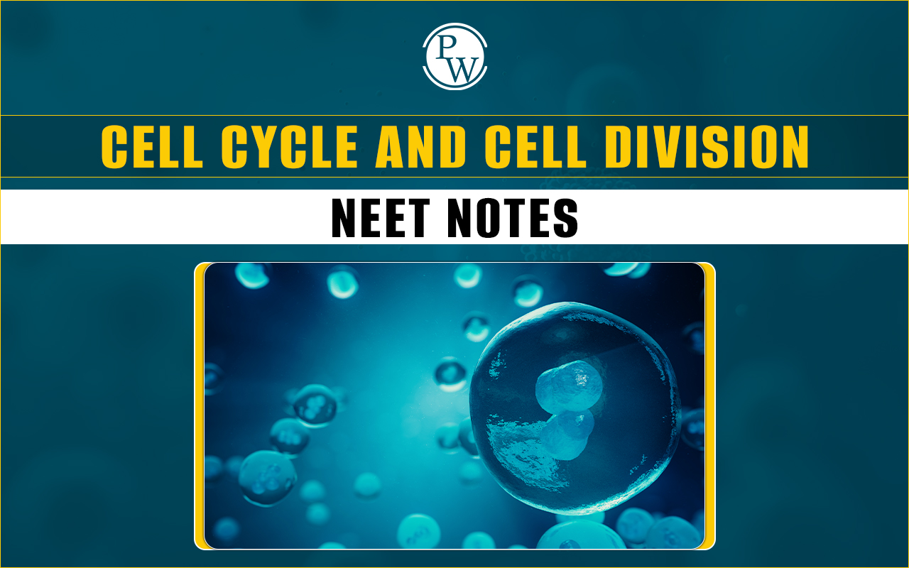 Cell Cycle and Cell Division NEET Notes 2025 PDF Download