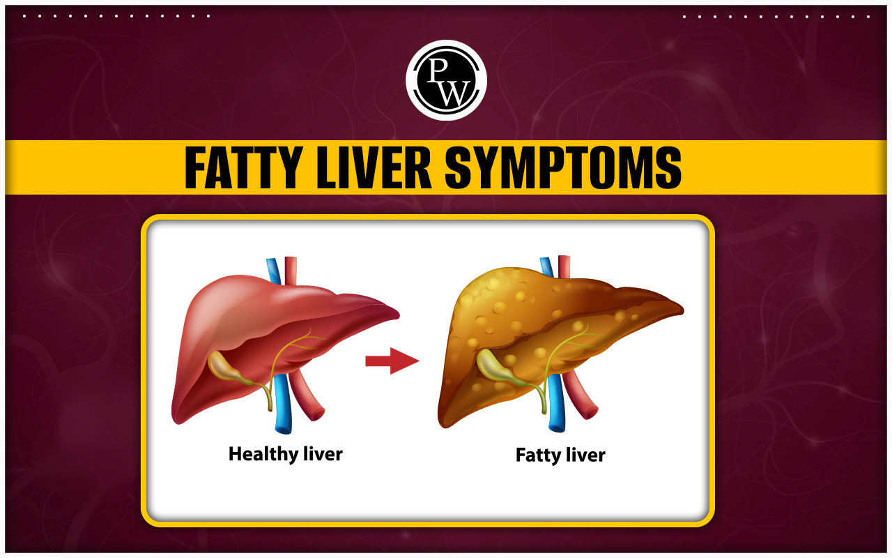 Fatty Liver Symptoms