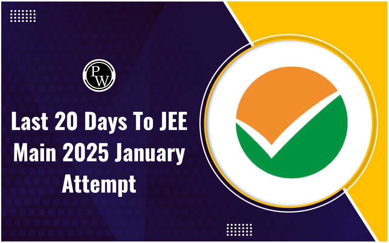 Last 20 Days To JEE Main 2025 January Attempt