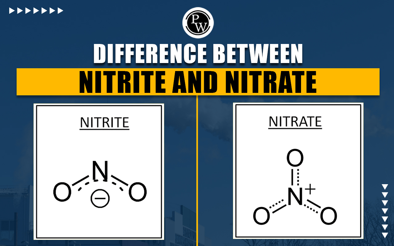 Difference Between Nitrite and Nitrate