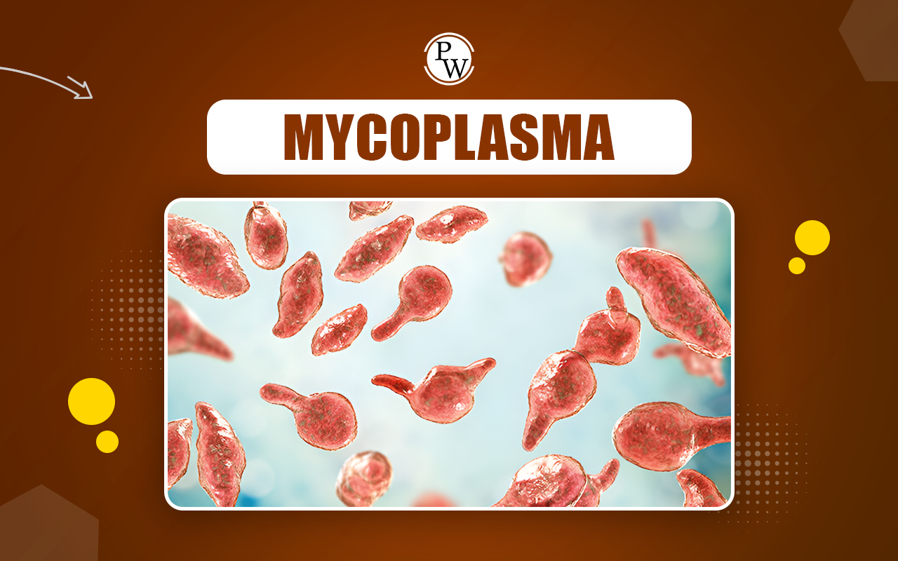 Mycoplasma, Definition, Characteristics, and Cell Structure