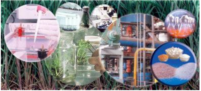 agro-based processing industries