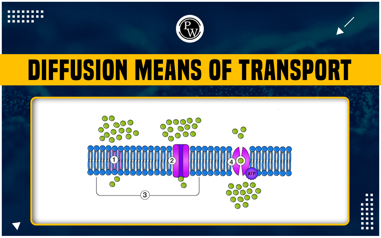 Diffusion Means Of Transport