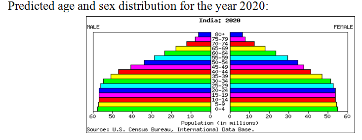 india population pyramid for 2020