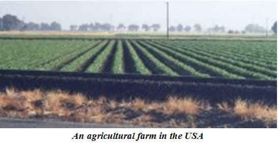Agricultural farm in USA