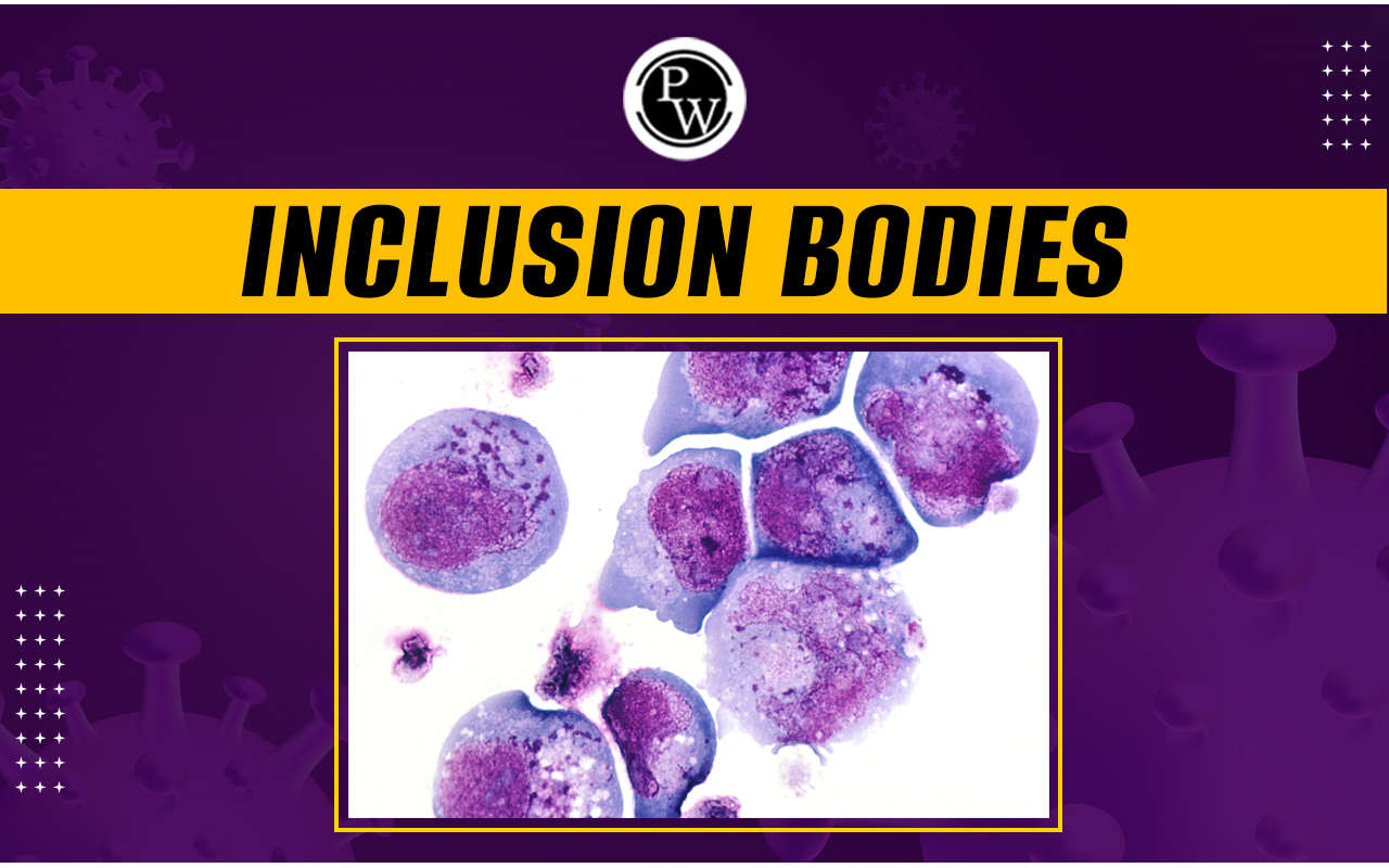 Inclusion Bodies, Classification, Properties, and Examples