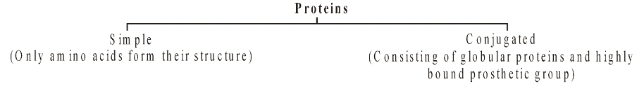 Classification of Proteins