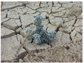 Classification Of Soil