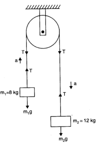 NCERT Solutions for Class 11