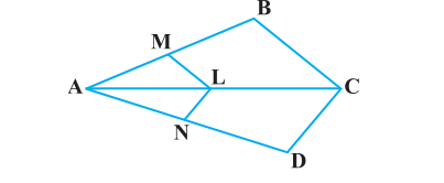 ncert solutions class 10 chapter 6 Ncert solutions class 10 chapter 6-6