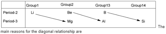 S and P Block Elements 