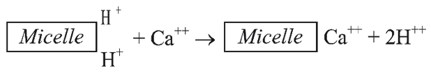 Mineral Salt Absorption