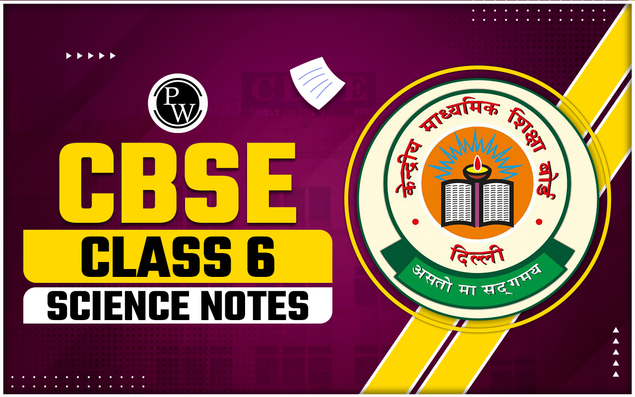 CBSE Class 6 Science Notes