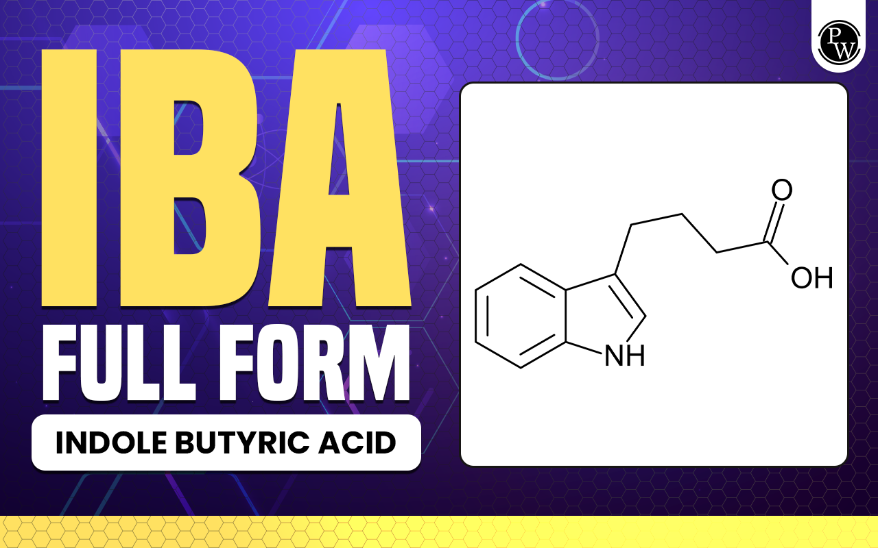IBA Full Form