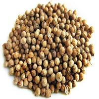 Coriander Spices Names