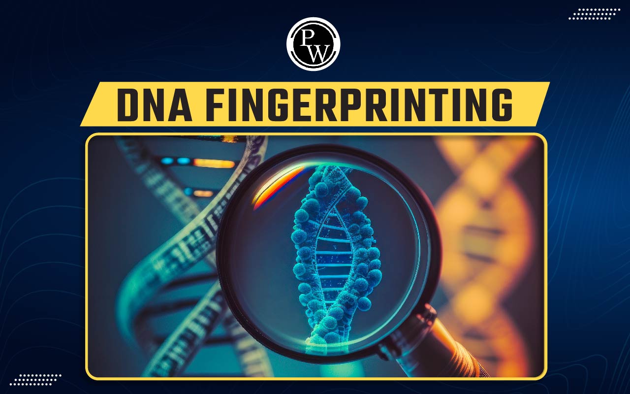 DNA Fingerprinting