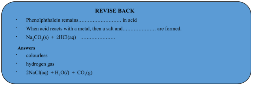 revise back