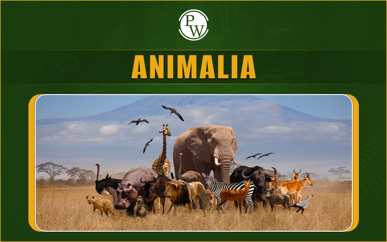 Animalia