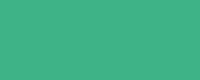 Mint Colour Image