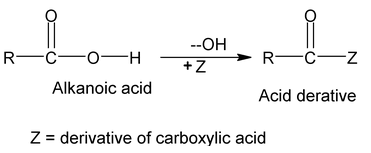 Functional Group