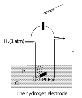 Types Of Half Cells
