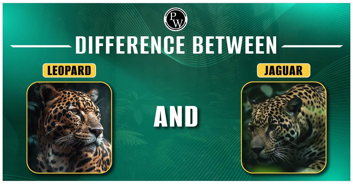 Difference between Leopard and Jaguar