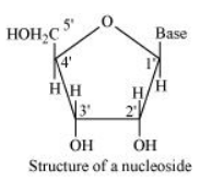 NCERT Solutions for Class 12  Chemistry Chapter 14 - Biomolecules