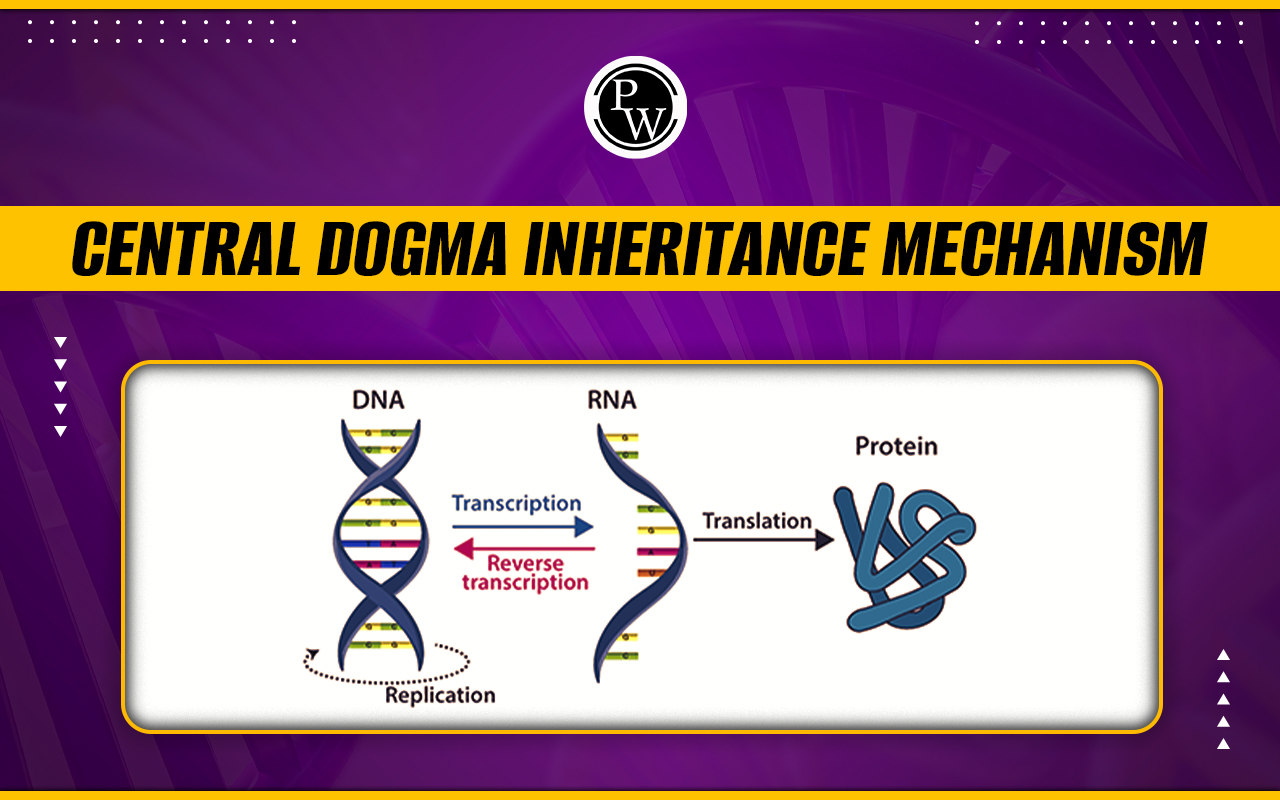 Central Dogma