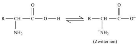 NCERT Solutions for Class 12  Chemistry Chapter 14 - Biomolecules